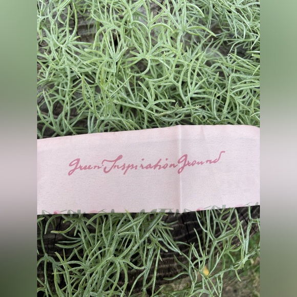 Hair Bow Accessory - Picture 3 of 3